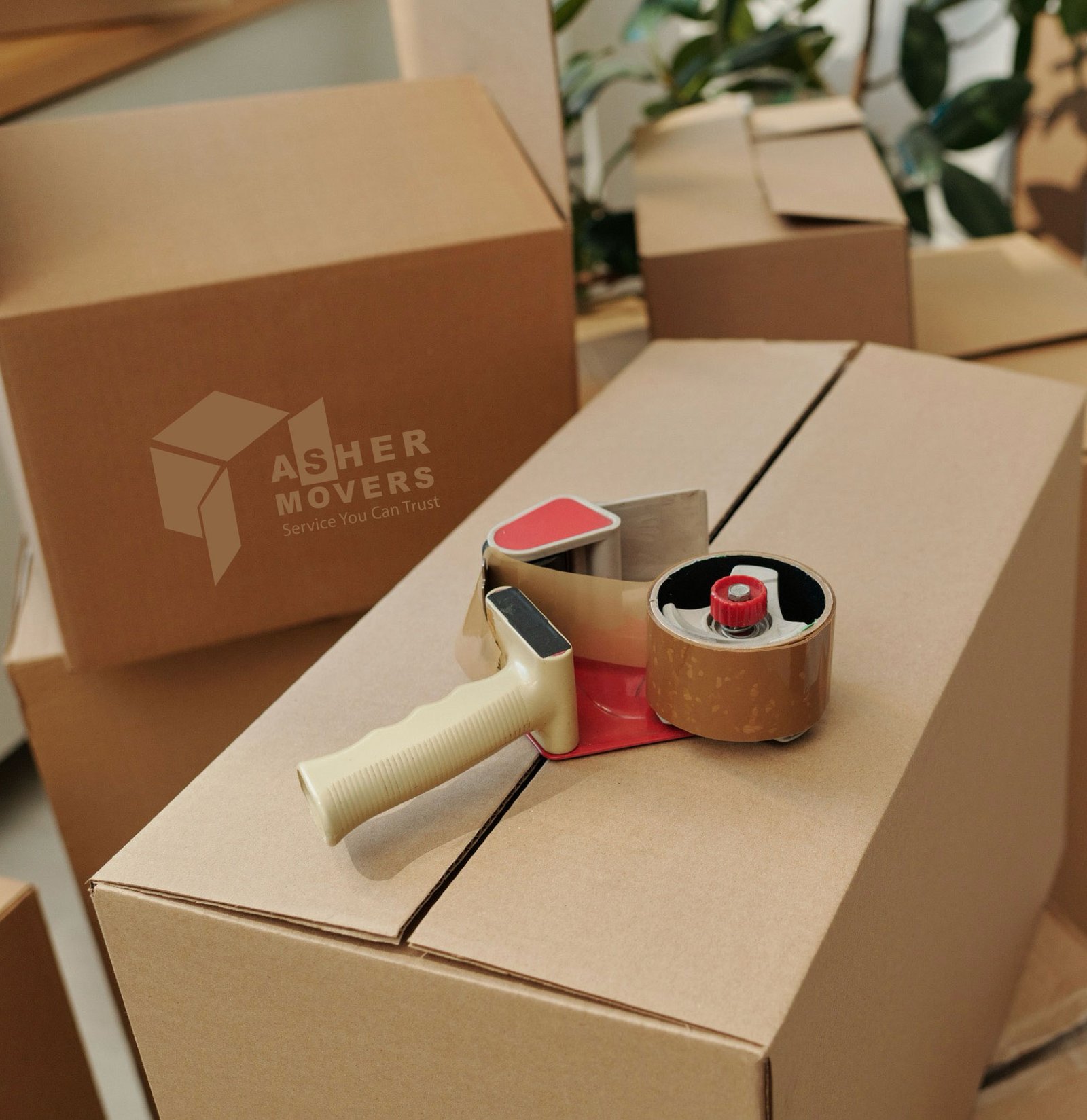 Professional Packing
